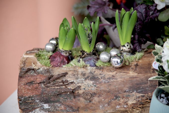 Les lutins de L'Échoppe photo 3